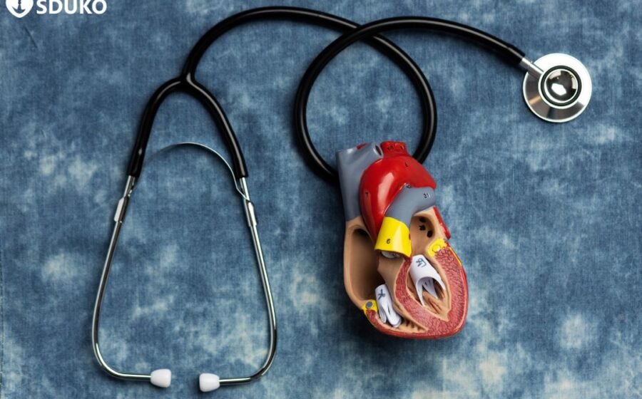 How Kidney Disease Can Affect Blood, Bones, and Acid-Base Balance